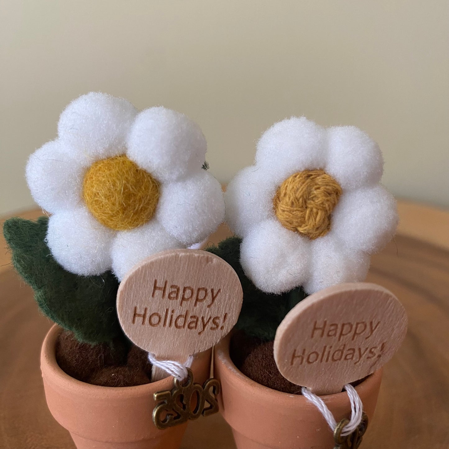 Holiday Hanging Potted Mini Flower