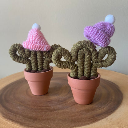 Cactus - Mini with Hat