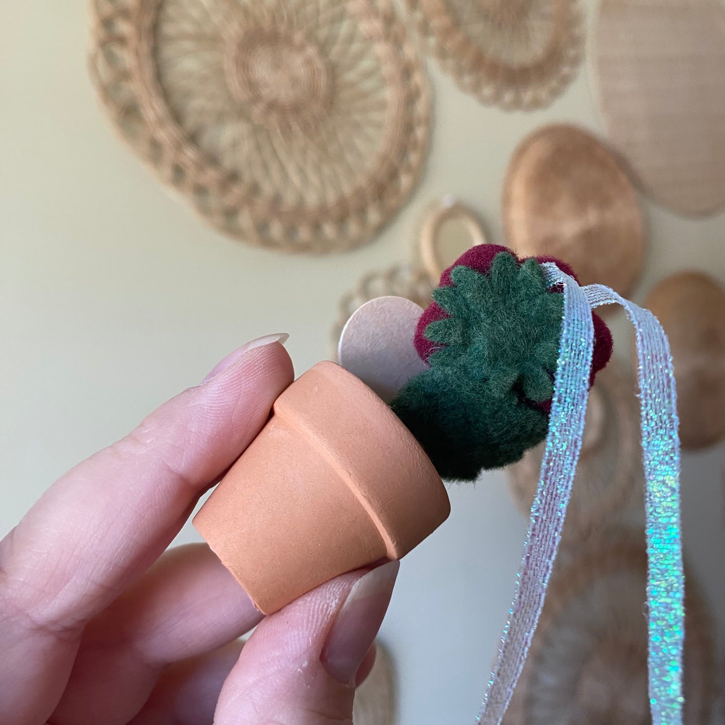 Holiday Hanging Potted Mini Flower