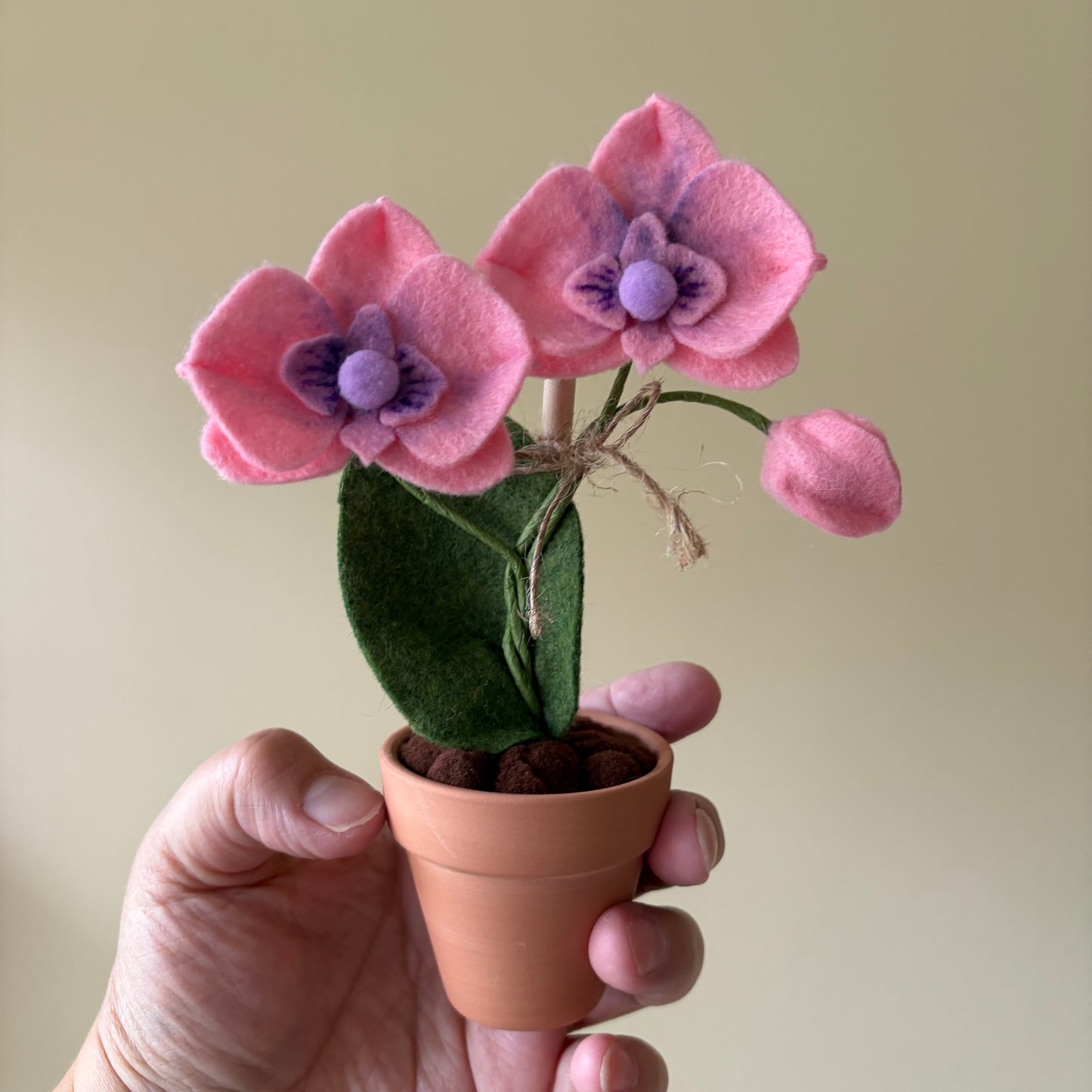 Orchid Felt Forever Orchid