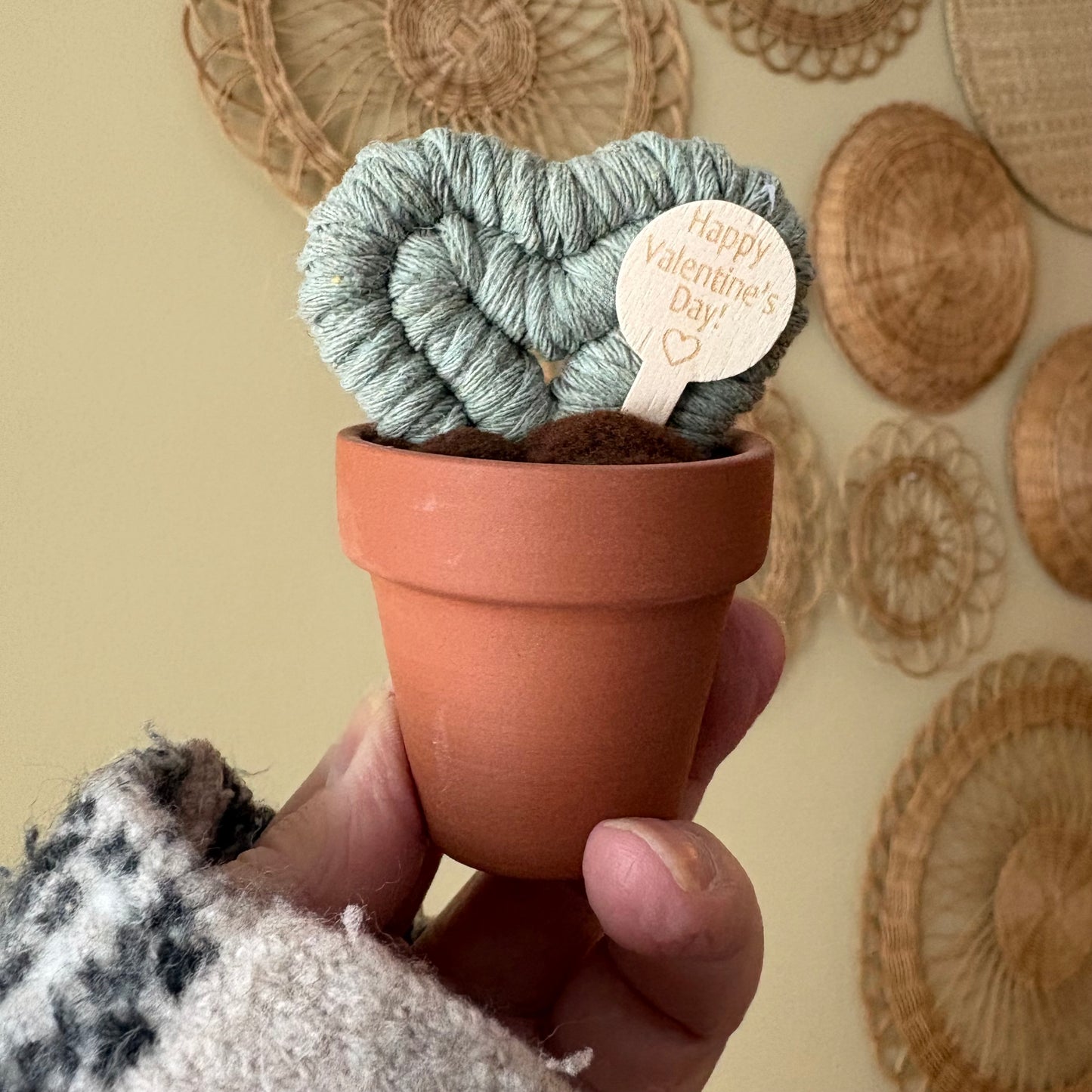 Hoya Heart Macrame Cactus
