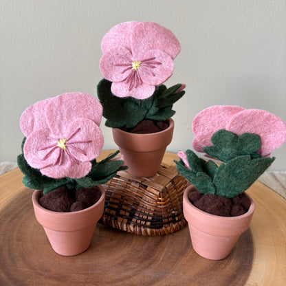 Pansy (Felt)