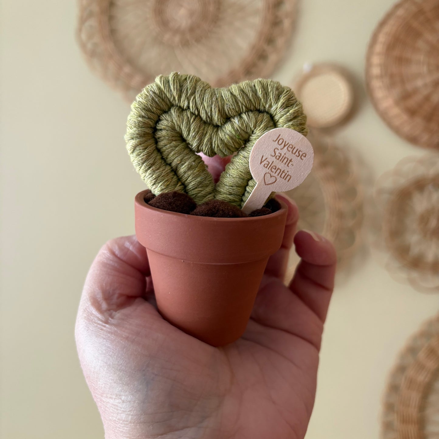 Hoya Heart Macrame Cactus