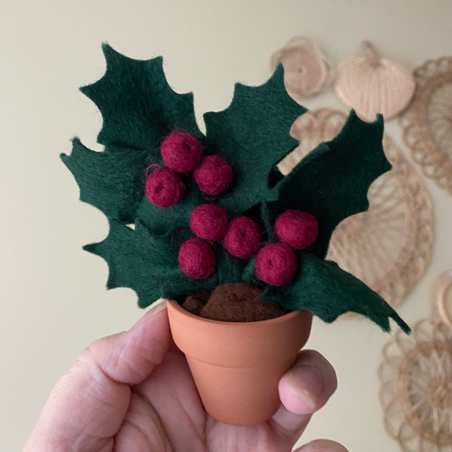 Holiday Holly: December Birth Month Flower