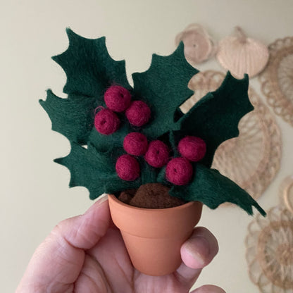 Holiday Holly: December Birth Month Flower
