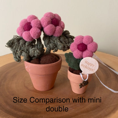 Holiday Hanging Potted Mini Flower