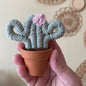 Macrame Forever Cactus (mini) ***discontinued colour***