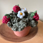 Strawberry Plant: Macrame and Felt