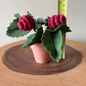 Strawberry Felt Plant: Macrame and Felt