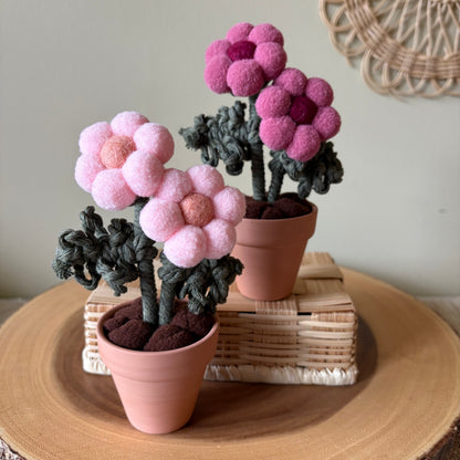 Pompom Flower - Double