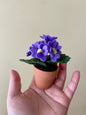 Primrose: February Birth Month Felt Flower