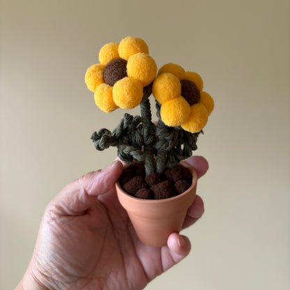 Pompom Flower - Double