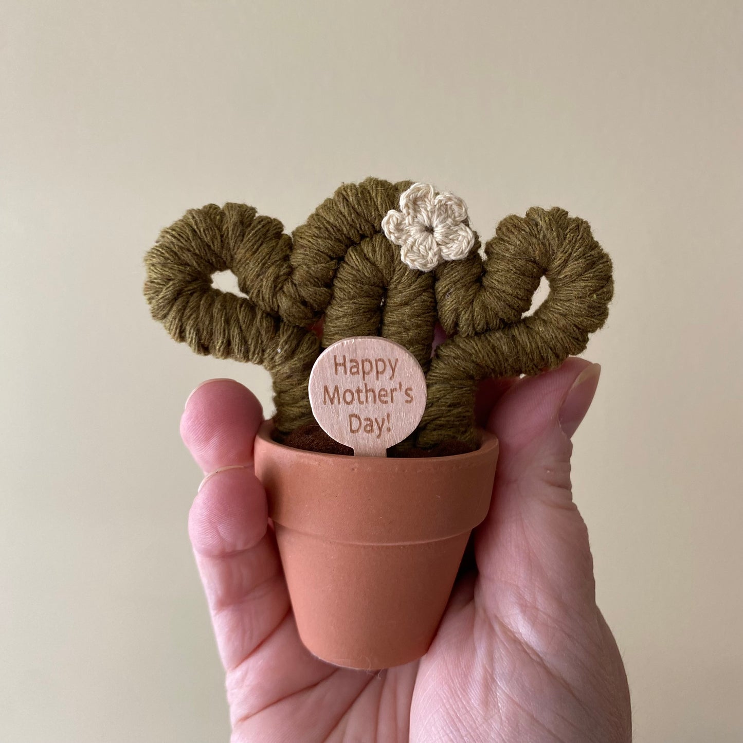 Macrame Forever Cactus (mini)