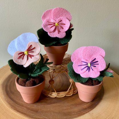 Pansy (Felt)
