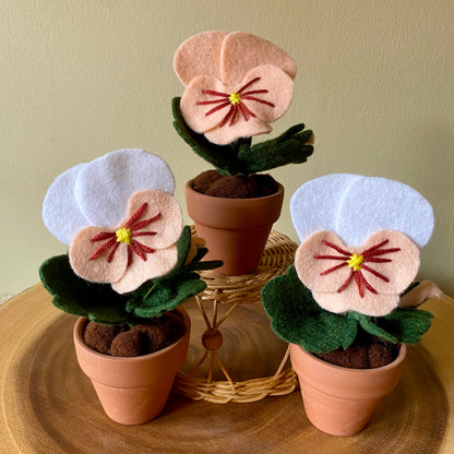Pansy (Felt)