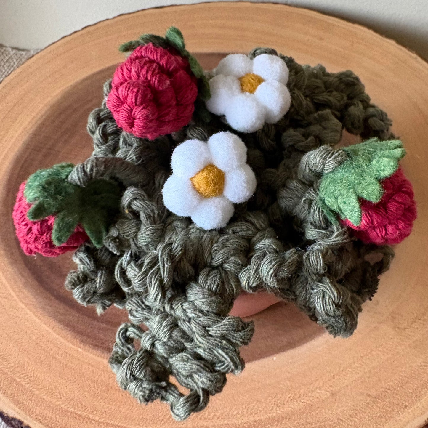 Strawberry Plant: Macrame and Felt