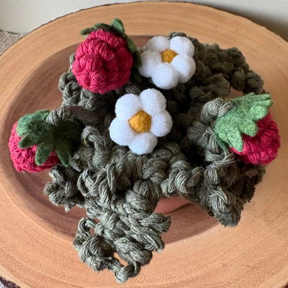 Strawberry Plant: Macrame and Felt