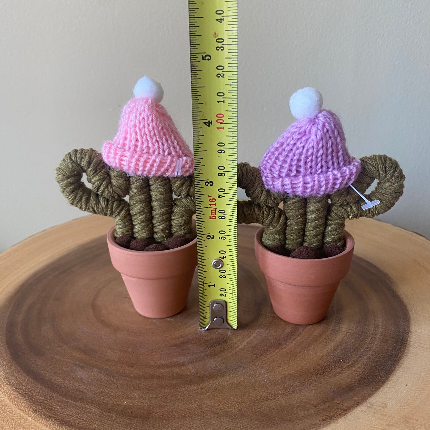 Cactus - Mini with Hat