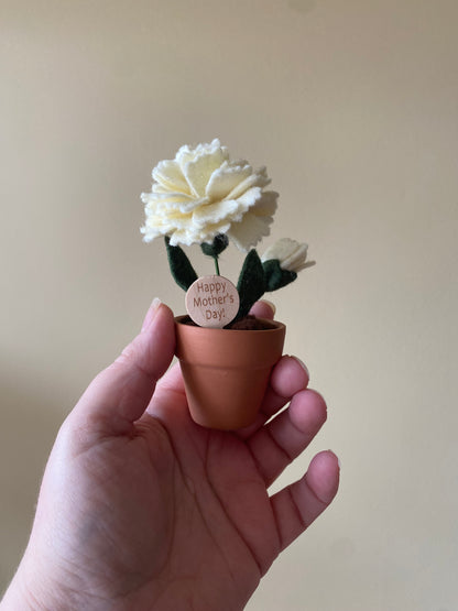 Mother’s Day Flowers w/ Wooden Sign