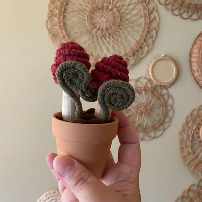 Macrame Mushrooms ***older style***