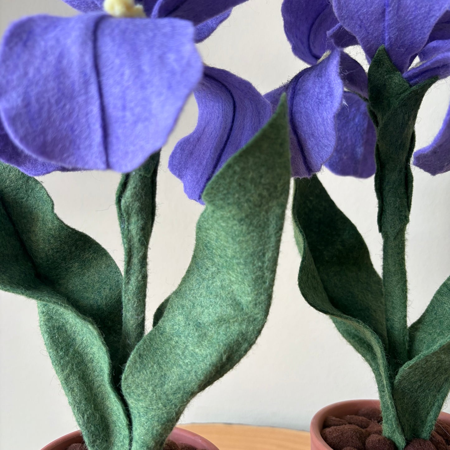 Felt Iris in Purple or Blue
