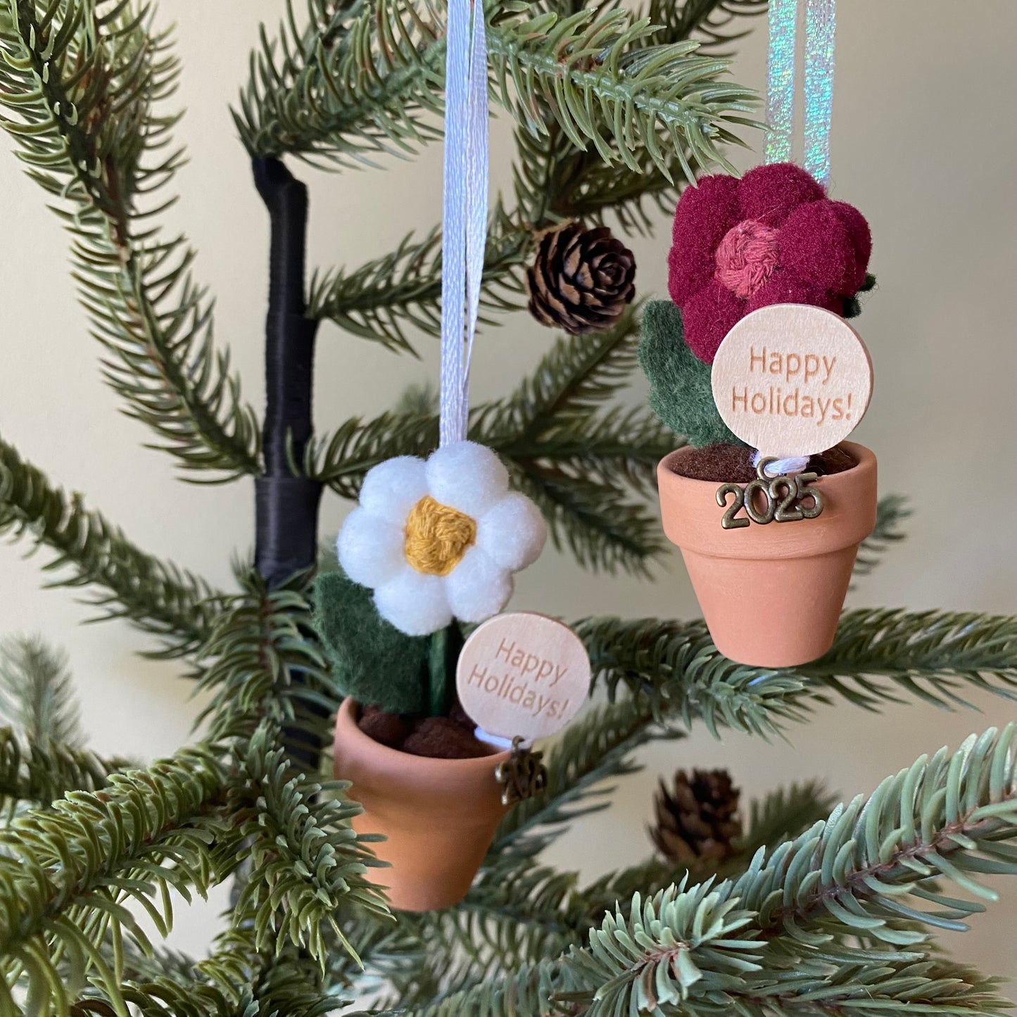 Holiday Hanging Potted Mini Flower