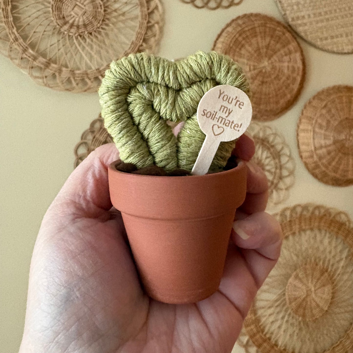Hoya Heart Macrame Cactus