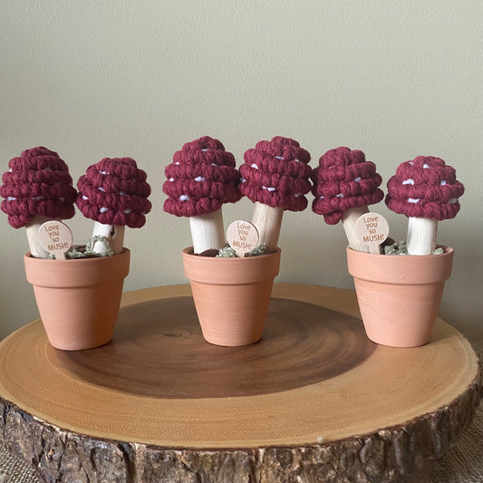 Macrame Mushrooms “Love you So Mush”