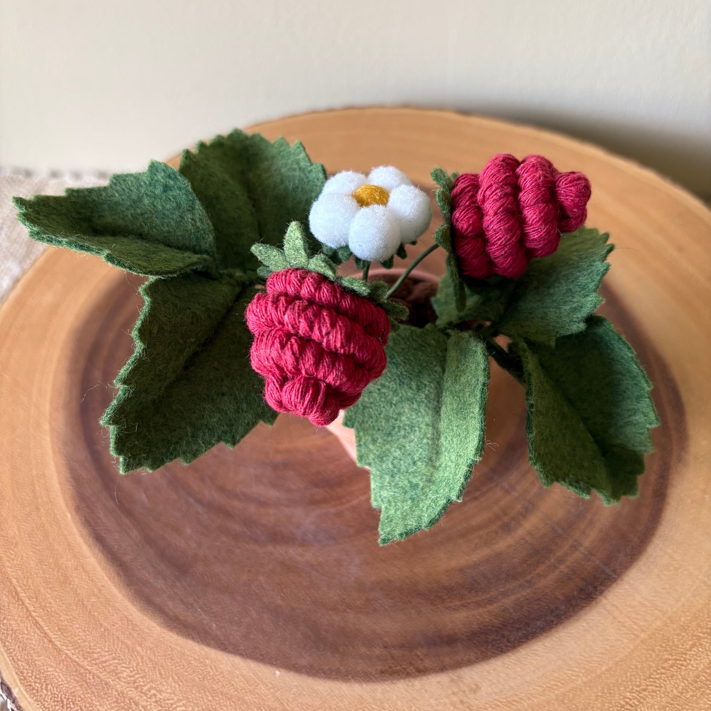 Strawberry Felt Plant: Macrame and Felt