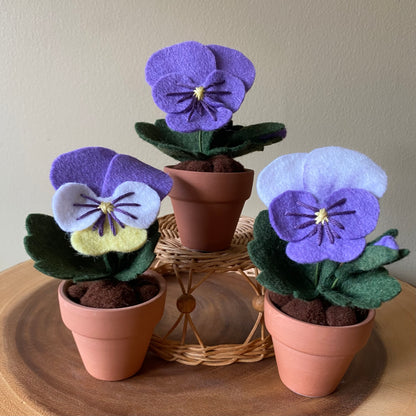 Pansy (Felt)