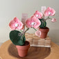 Proud to be Y’Orchid Felt Forever Orchid