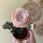 Macrame & Felt Rose (Vanilla or Peachy-pink) ***older style***