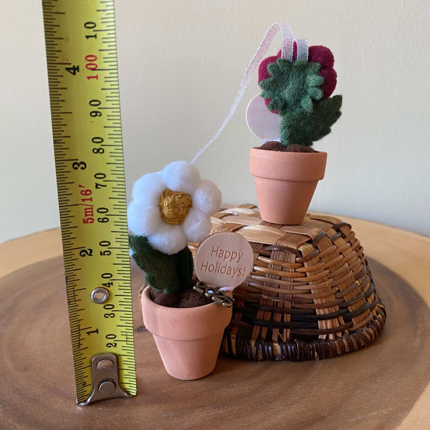 Holiday Hanging Potted Mini Flower