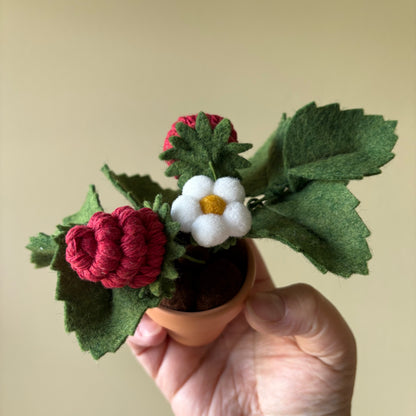 Strawberry Felt Plant: Macrame and Felt