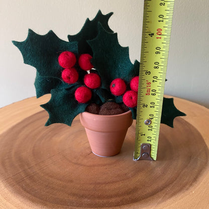 Holiday Holly: December Birth Month Flower