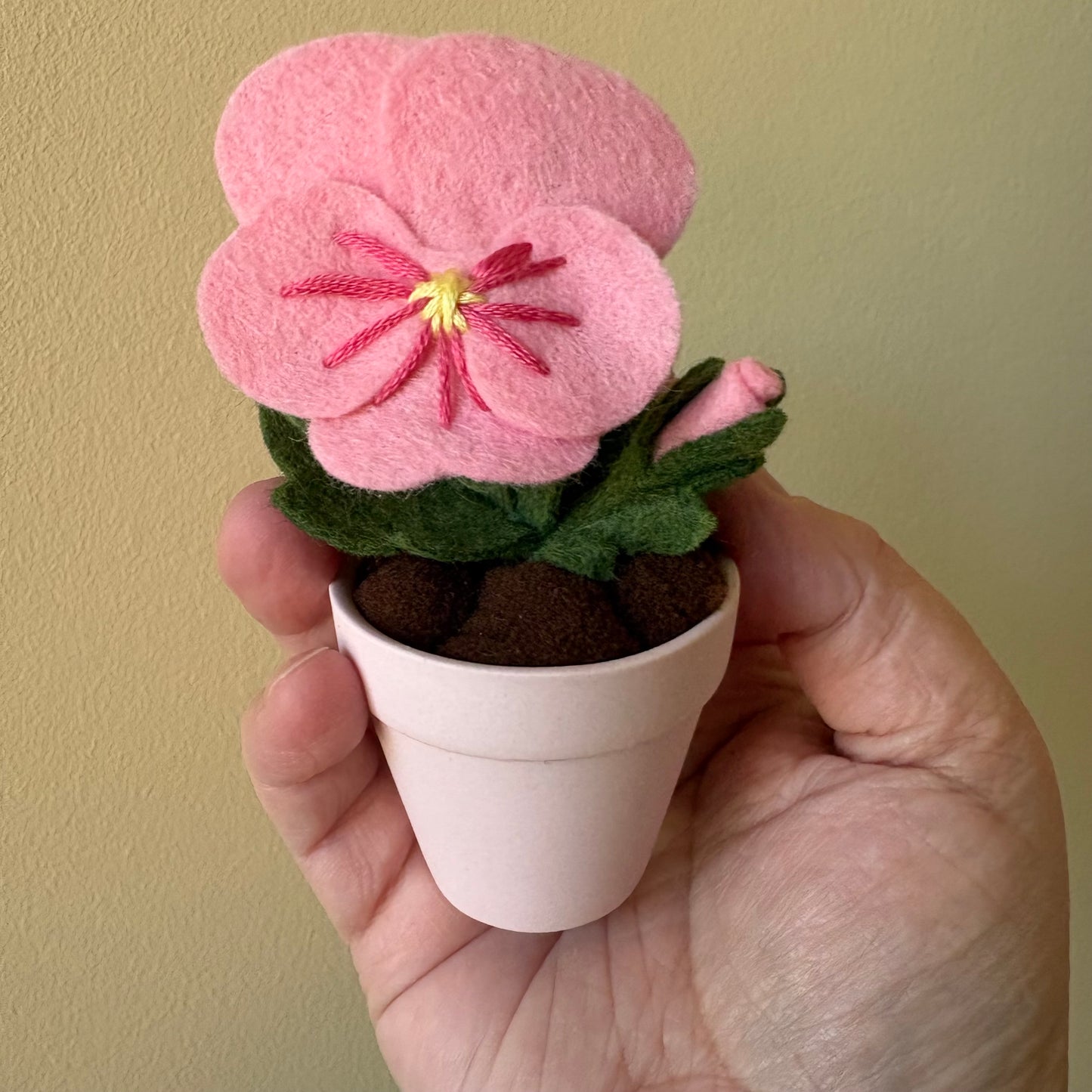 Pansy in Pastel Pot