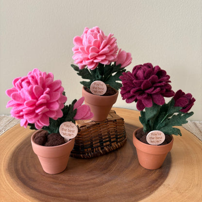 Plant Pokes | Wooden Signs