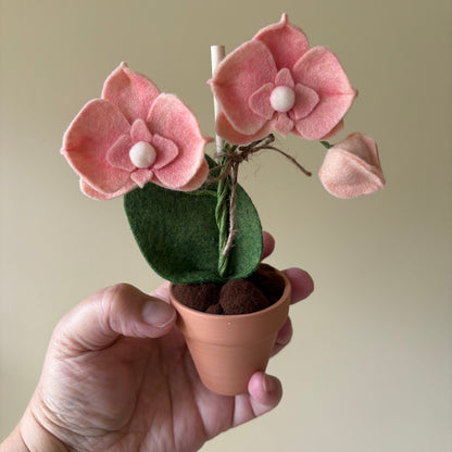 Orchid Felt Forever Orchid