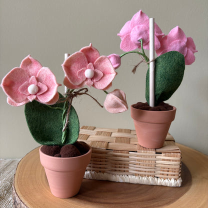 Orchid Felt Forever Orchid