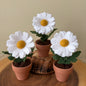 Daisy: April Birth Month Felt Flower