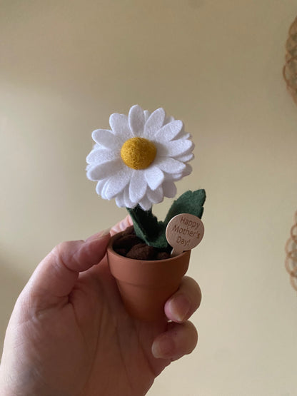 Mother’s Day Flowers w/ Wooden Sign