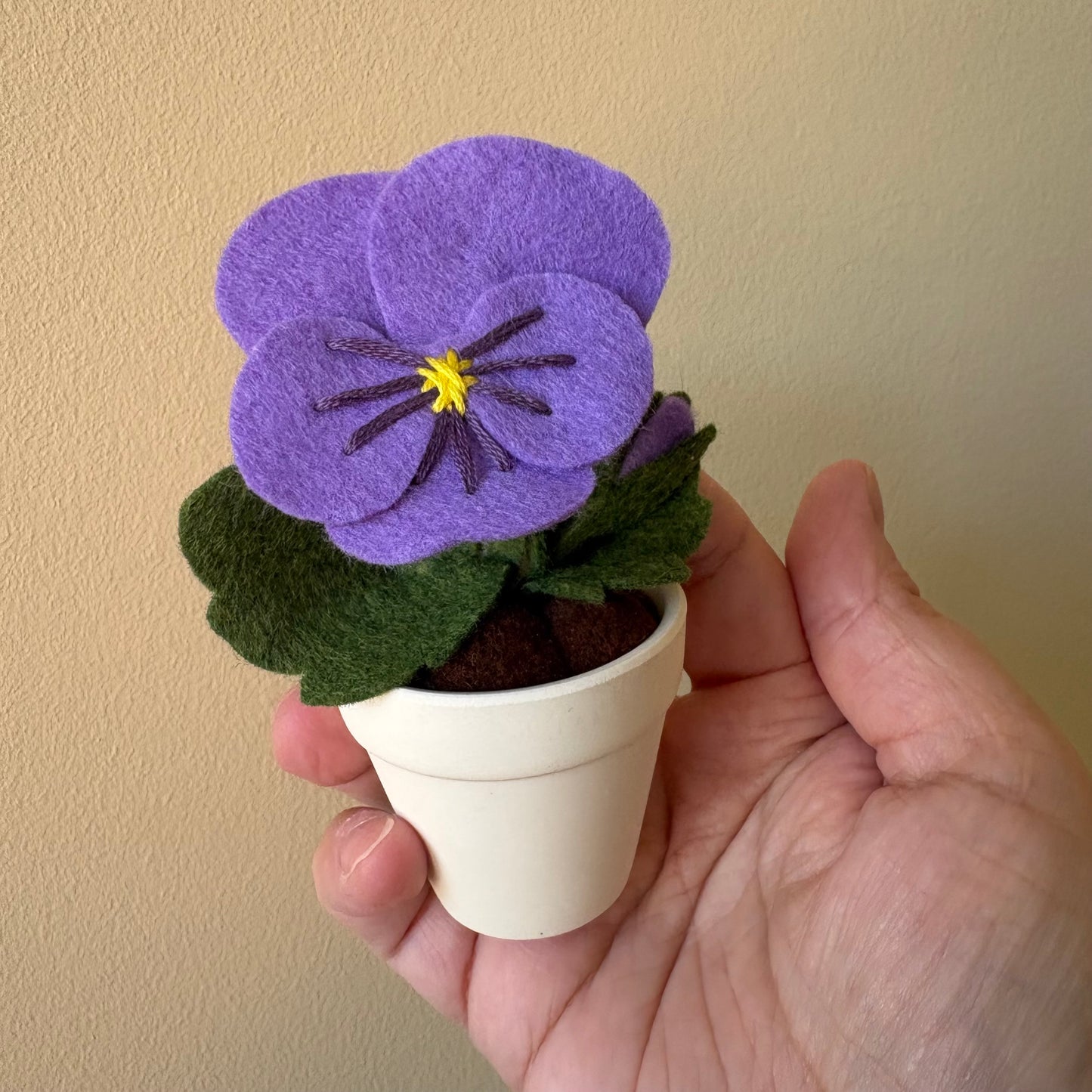 Pansy in Pastel Pot