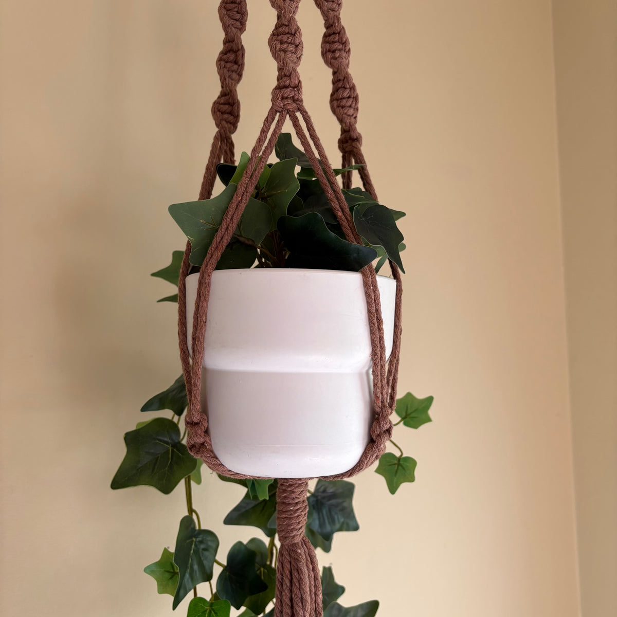 Macrame Spiral Plant Hanger