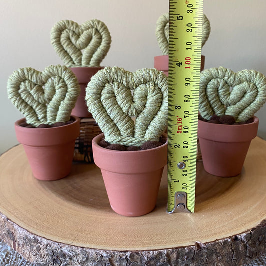 Hoya Heart Macrame Cactus