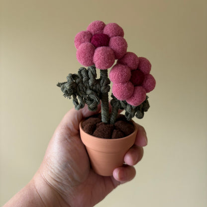 Pompom Flower - Double
