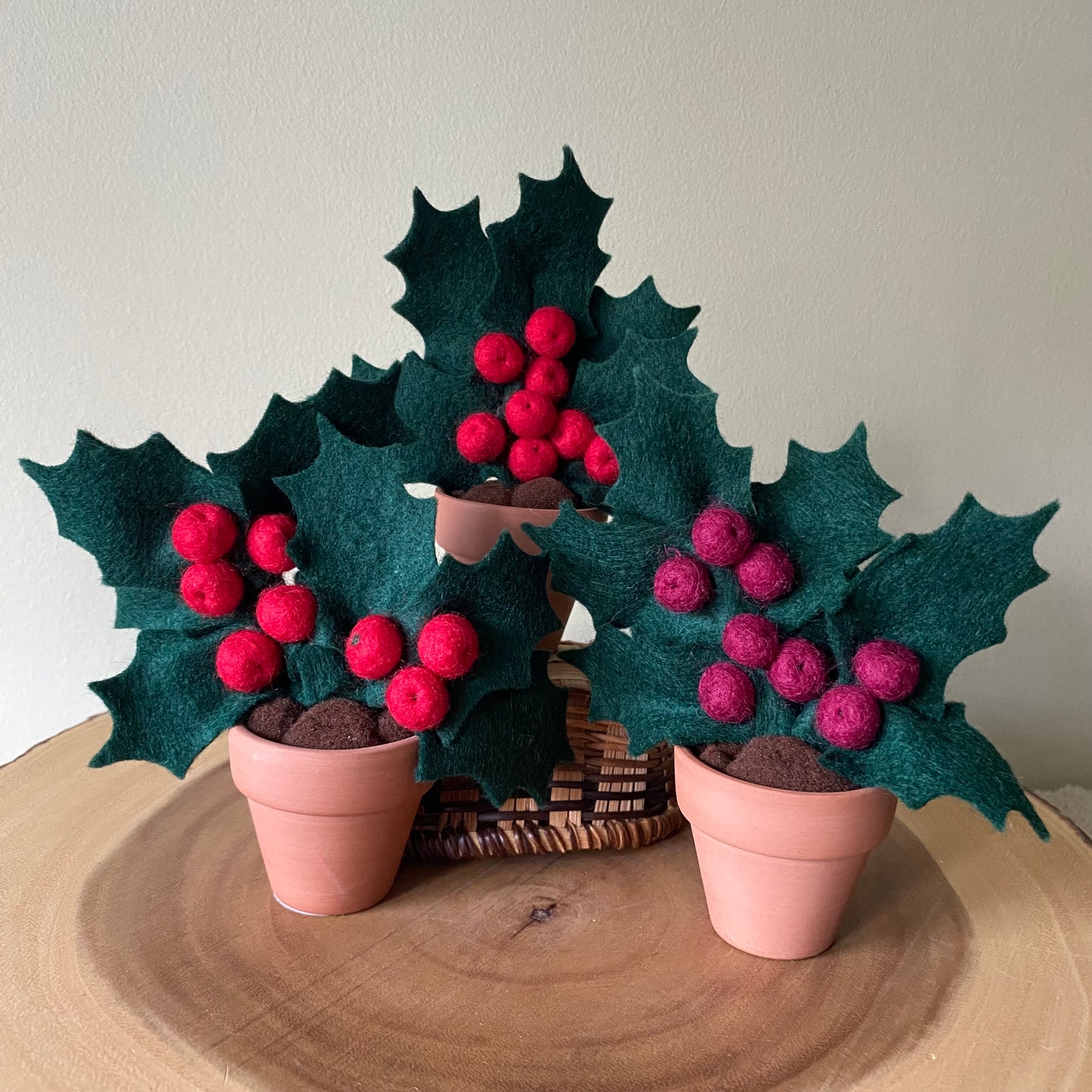 Holiday Holly: December Birth Month Flower