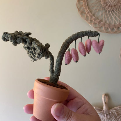 Bleeding Heart (older style)