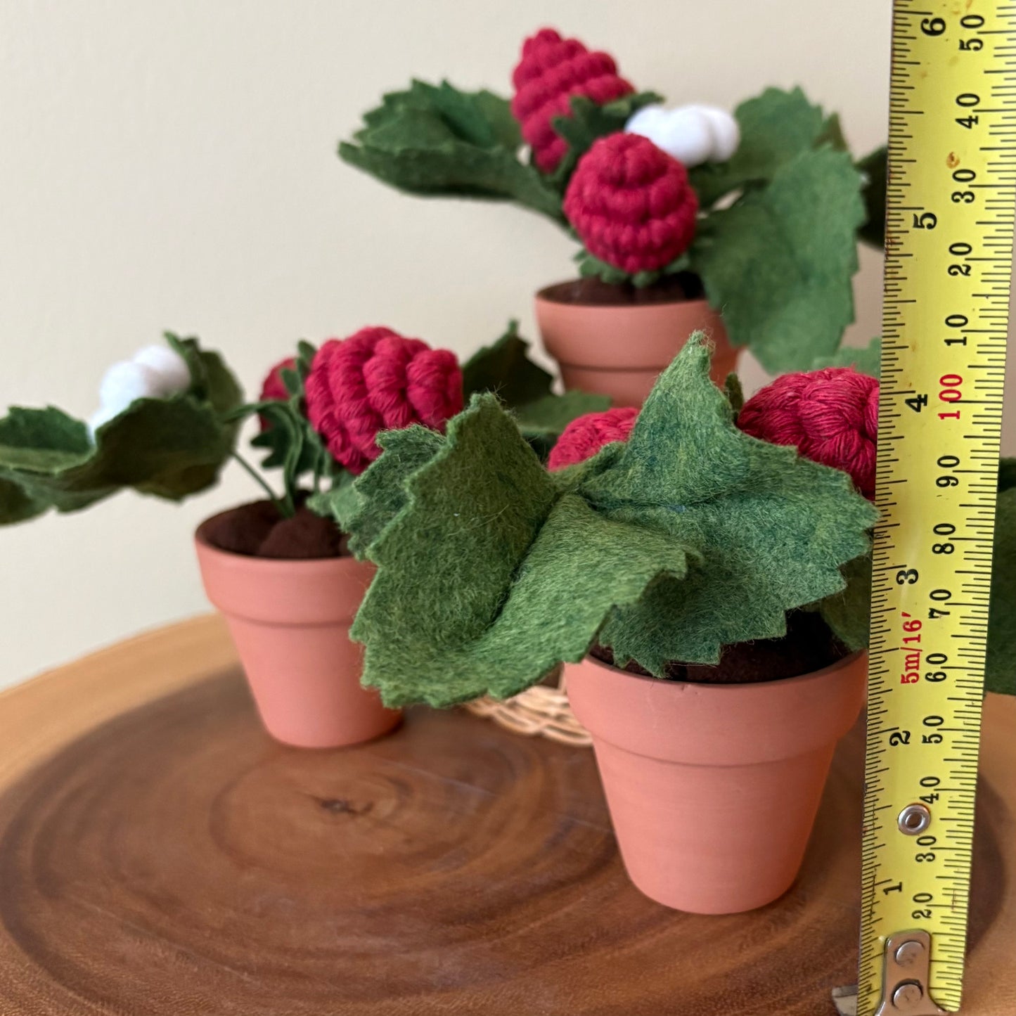 Strawberry Felt Plant: Macrame and Felt