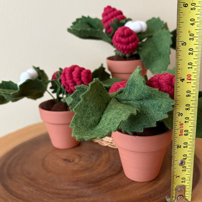 Strawberry Felt Plant: Macrame and Felt