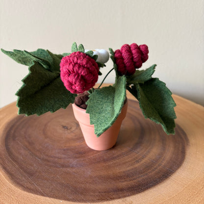 Strawberry Felt Plant: Macrame and Felt